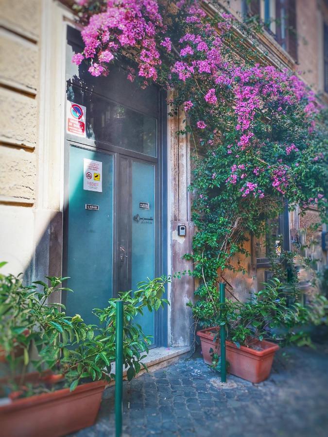 Trastevere Glasshouse Řím Exteriér fotografie